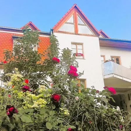 Ferienwohnung Naegler Erbach  Exterior photo